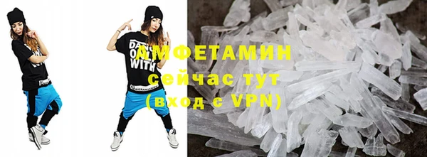 сатива Калининец